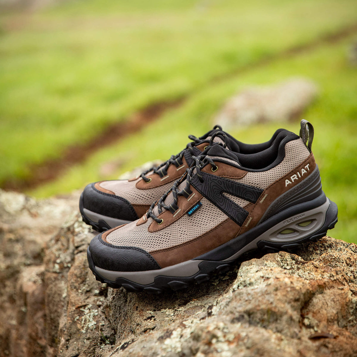 Ariat Best Price Traverse Low Waterproof Hiking Shoe