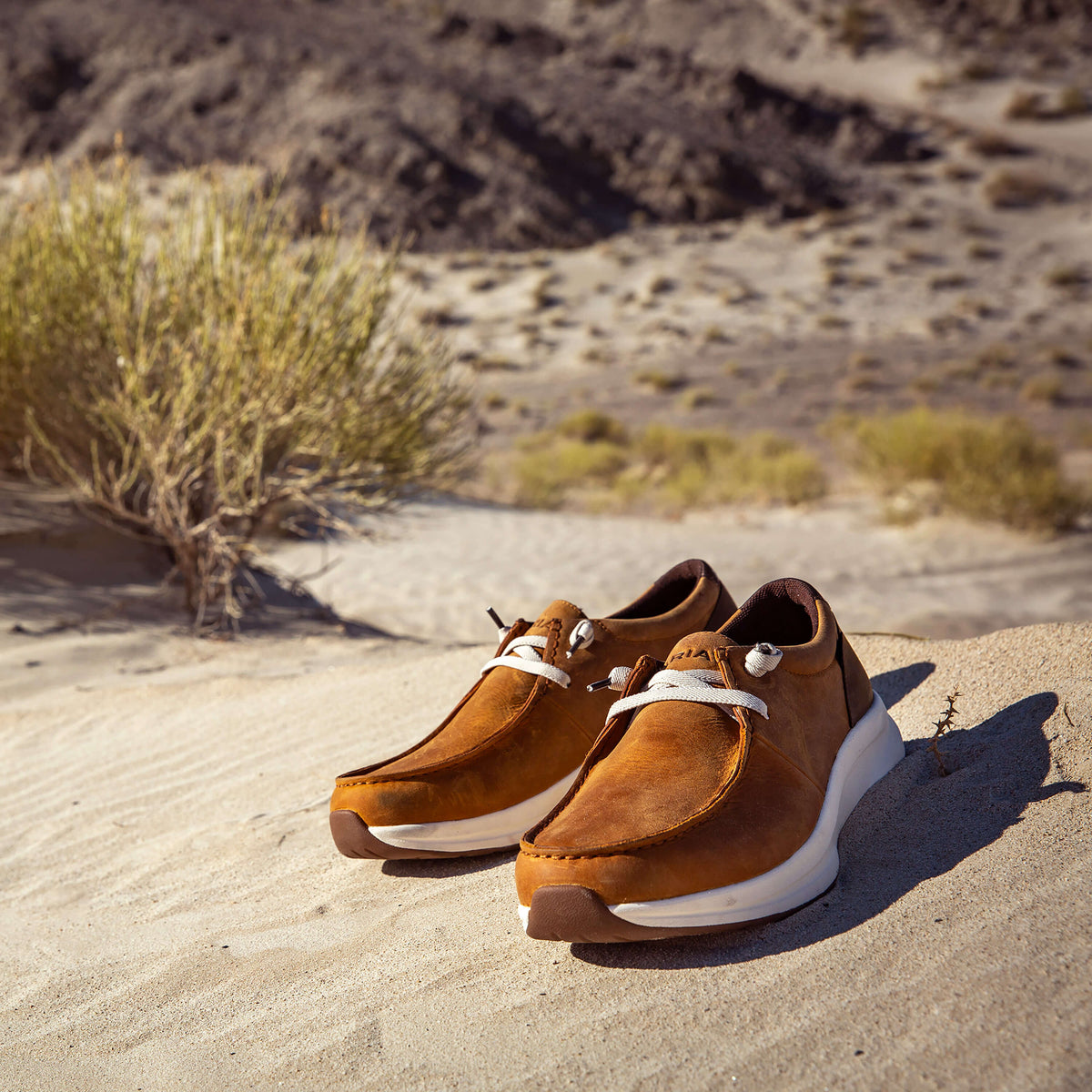 Ariat Premium Buckeye Waterproof Shoe