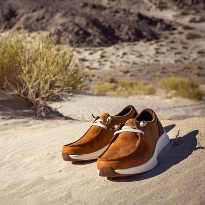 Ariat Premium Buckeye Waterproof Shoe