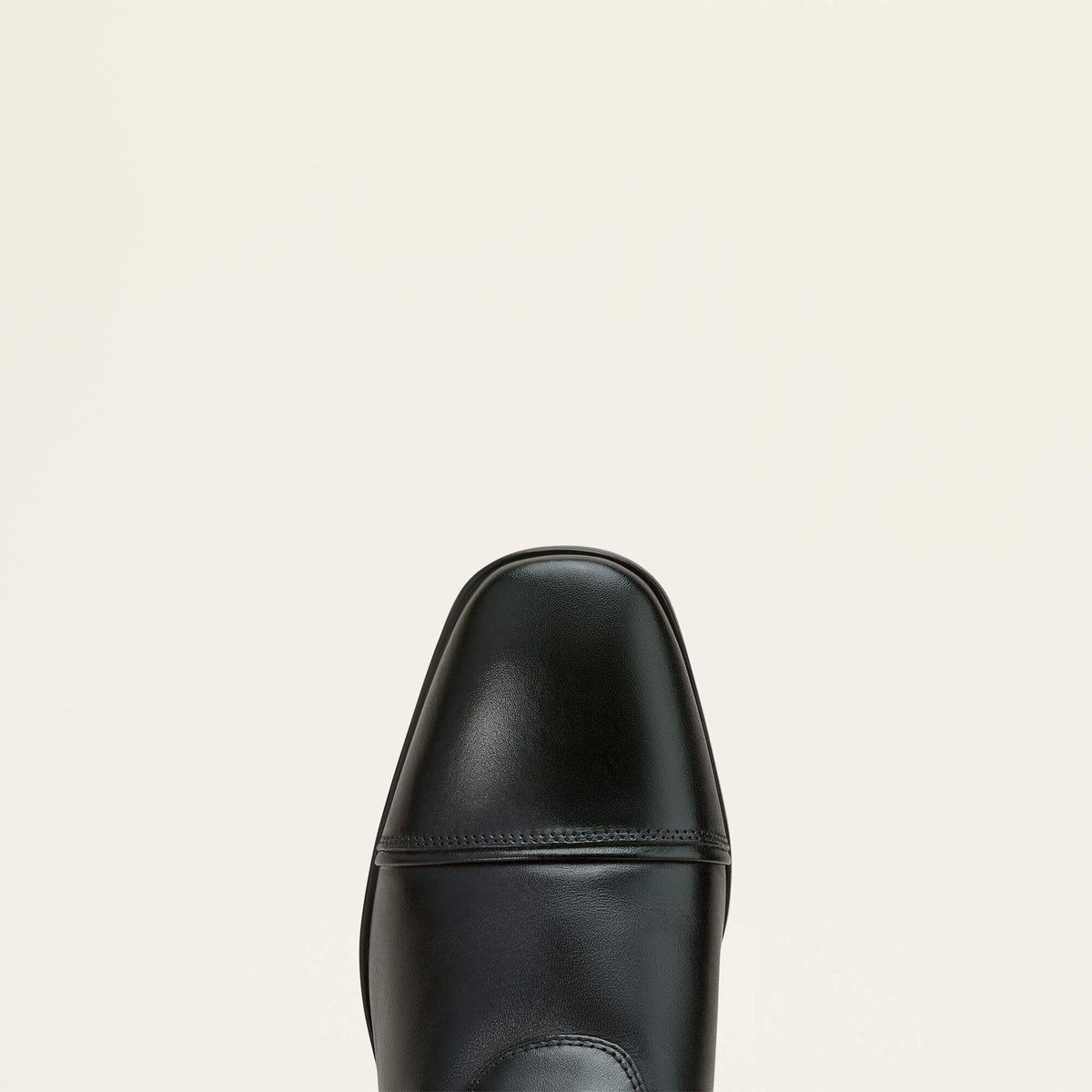 Ariat Signature Palisade Dress Tall Riding Boot