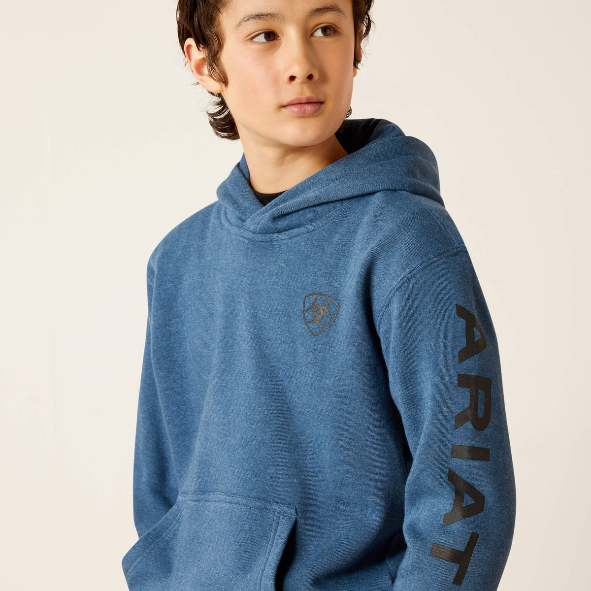 Ariat Best Price Ariat Logo Hoodie
