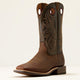 BROWN OILED ROWDY/TIMBER OLIVE